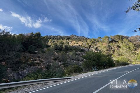 Helårsgrund i Jalon, Alicante, Jalon - € 210.000 | Ref: P-601 - foto 14
